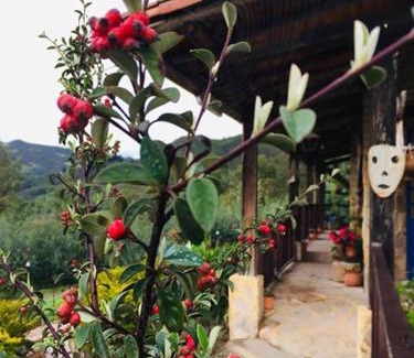 Simijaca Maison | Hotel Rural Granja Agroecoturistica Santa Barbara