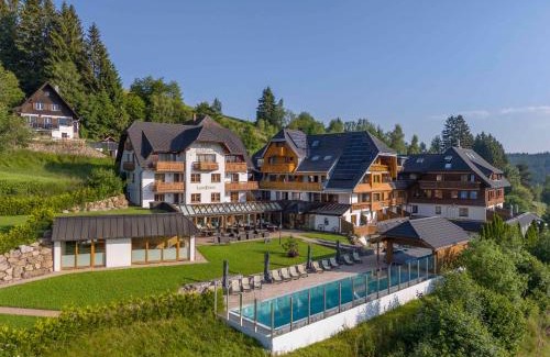 Altglashutten Hôtel | Hotel Schlehdorn
