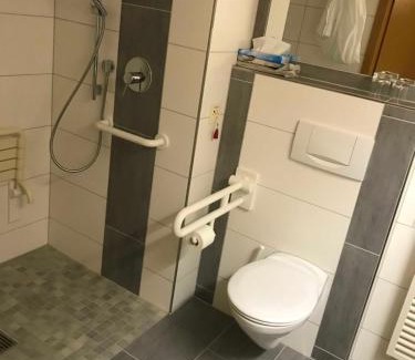 Schwanau Hôtel | Hotel Schwanau garni