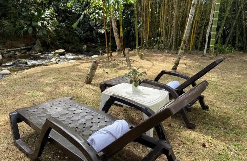 San Carlos Hôtel | Hotel Selva Cristal