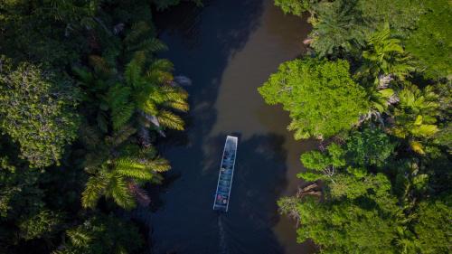 Tortuguero Hôtel | Hotel Serendipity