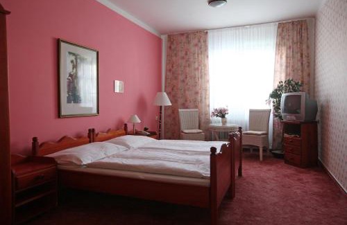 Trebic Hôtel | Hotel Solaster Garni