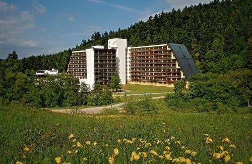 Lubovnianske Kupele Hôtel | Hotel SOREA ĽUBOVŇA