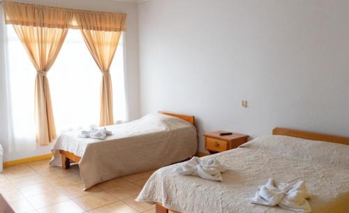Pacuare Reserve Hôtel | Hotel Sueño de Luna