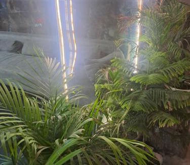 South West Hôtel | Hotel Tark Premium Chanakyapuri