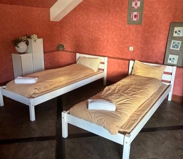 Sapareva Banya Hôtel | Hotel Temenuga