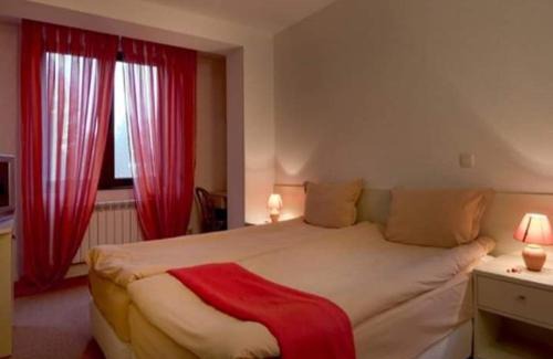 Sapareva Banya Hôtel | Hotel Temenuga