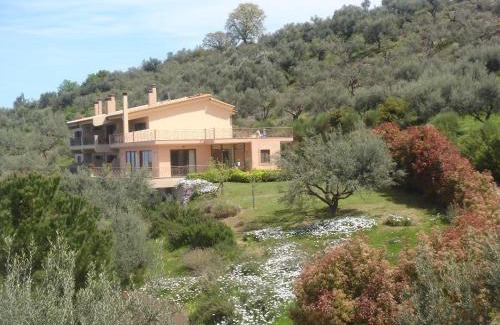 Aigialeia Hôtel | Hotel Theasi