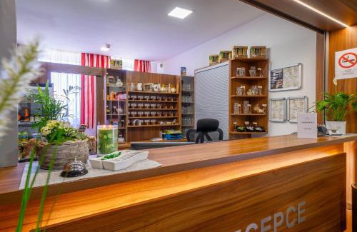 Velke Popovice Hôtel | Hotel u Ledu