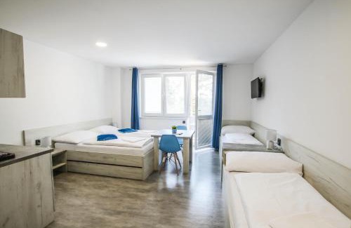 Vranov nad Dyji Maison | Hotel U Pláže