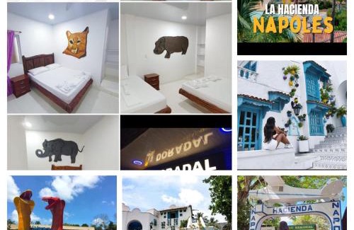 Doradal Hôtel | Hotel vacation Doradal