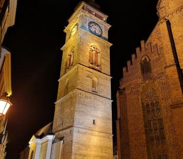 Hradec Kralove Hôtel | Hotel Vacek Pod Věží