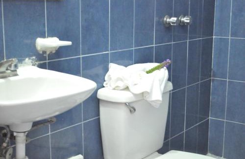 Irapuato Hôtel | Hotel Viena