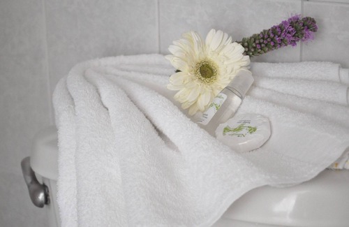 Irapuato Hôtel | Hotel Viena