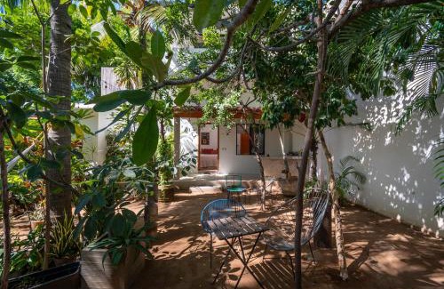 Carrizalillo Hôtel | Hotel Villa Mozart y Macondo