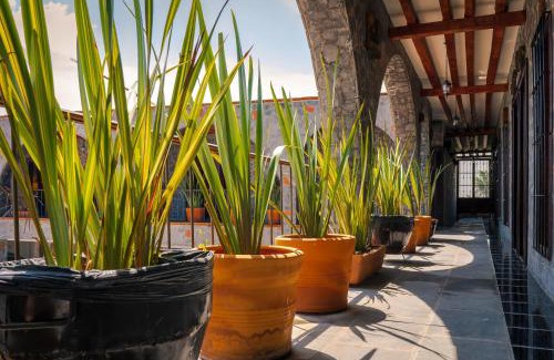Cholula Hôtel | Hotel Vitorina Cholula