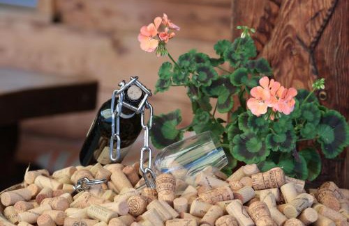 Brienz Hôtel | Hotel Wildbach Brienz