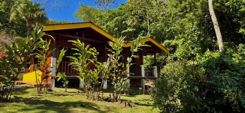 Bijagua Cabine | Hotel y Puentes Colgantes Heliconias Rainforest Lodge