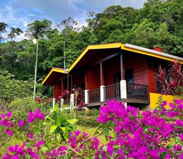 Bijagua Cabine | Hotel y Puentes Colgantes Heliconias Rainforest Lodge