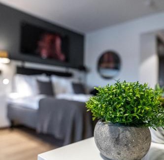 Jarvenpaa Hôtel | Hotelli Sointu by UHANDA