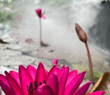 Thanh Thuy Hôtel | Hotels 35 tầng & Villas Khu nghỉ dưỡng khoáng nóng LYNN TIMES Thanh Thuỷ Phú Thọ