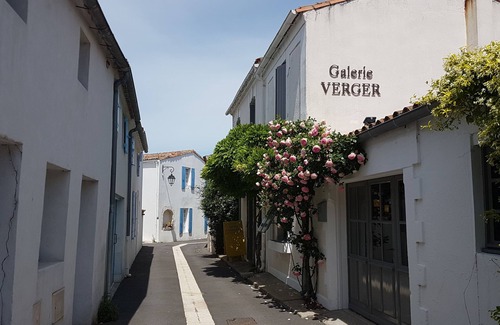 Mornac-sur-Seudre Maison | Vos vacances réussies avec votre famille et votre boule de poil !!