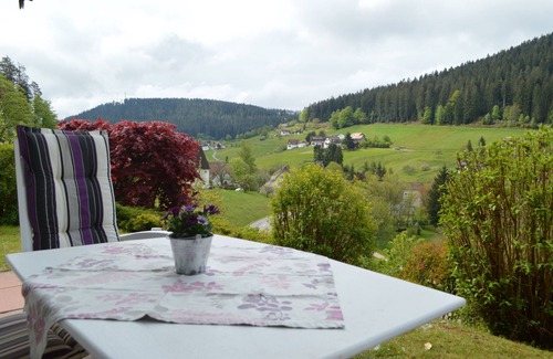Tonbach Appartement | Maison sur la forêt - "Anny"