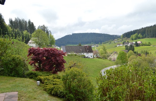 Tonbach Appartement | Maison sur la forêt - "Anny"