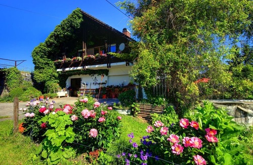 Heitlern Appartement | Haus Egelsee, Haus Egelsee Studio