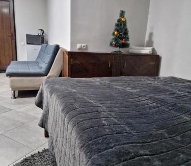 Old Tbilisi Appartement | house hill