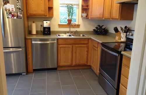 Mann Maison | House - home office, fireplace, fenced yard, walkable!