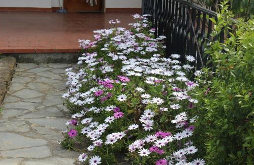 Imperia Appartement | House in Caramagna