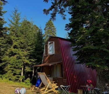 Khulo Maison | House in forest