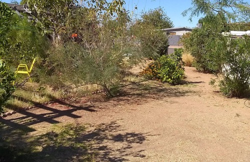 East Mesa Maison | House in Mesa 45 minutes to chase field, 1:15 minutes to Glendale stadium