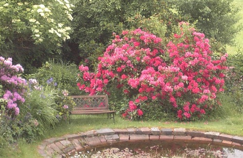 Obernsees Maison | Maison de vacances Mistelgau pour 1 - 3 personnes avec 1 chambre à coucher - Logement de vacances da