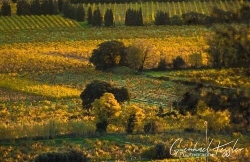 Chateauneuf-du-Pape Maison | Maison au coeur du village de Viticulteurs de Chateauneuf du Pape