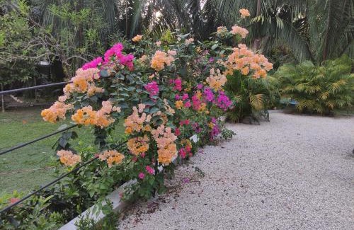 Puerto Carrillo Maison | House in the palm forest