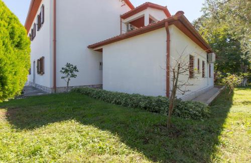 Vozilici Maison | House Kontus