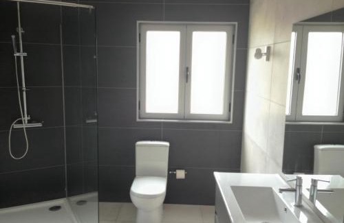 Viseu Appartement | House near Fontelo