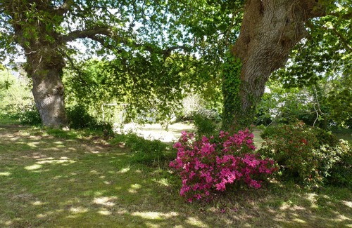 Plougonvelin Appartement | maison proche mer avec jardin 2500m2