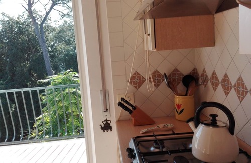 Ischia Porto Appartement | House on the island of Ischia, in pine forest with private descent to the sea.