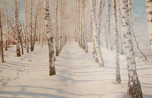 Taull Maison | Maison sur les pistes de ski de Boí Taüll