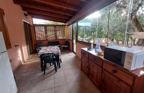 Iglesias Historic Centre Appartement | House The Ancient Olive Tree, nestled in a centuries-old olive grove with a large garden around it.