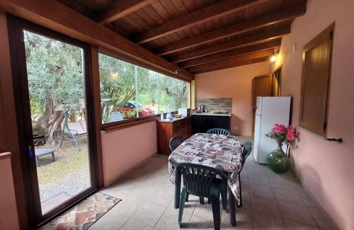 Iglesias Historic Centre Appartement | House The Ancient Olive Tree, nestled in a centuries-old olive grove with a large garden around it.