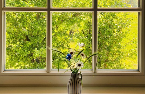 Klein Bollhagen Appartement | House Windfee WE 1: tastefully furnished 2-room apartment