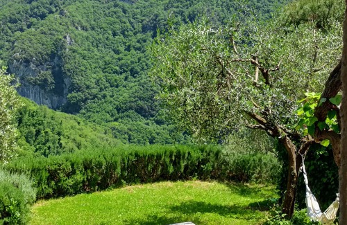 Camaiore Maison | Maison avec vue sur les oliviers, les noix et les lauriers.