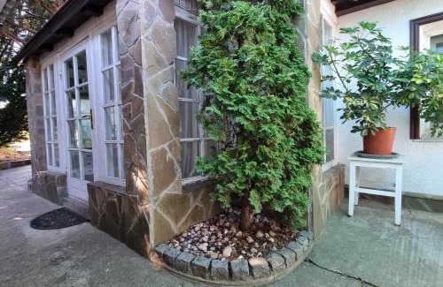 Zatoka Maison | House with flowers