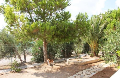 Koutsounari Maison | House with garden ON beach
