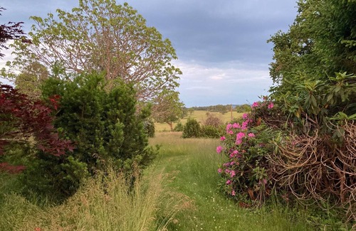Thil-sur-Arroux Maison | Maison a bain remous nichée dans une magnifique nature