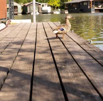 Smichov Location De Bateaux | Houseboat Daisy